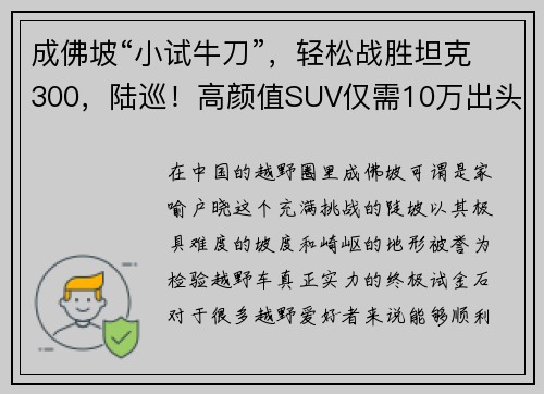 成佛坡“小试牛刀”，轻松战胜坦克300，陆巡！高颜值SUV仅需10万出头