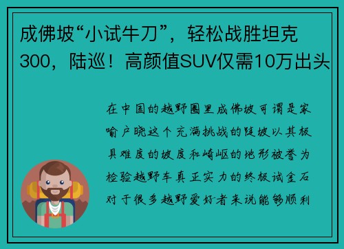 成佛坡“小试牛刀”，轻松战胜坦克300，陆巡！高颜值SUV仅需10万出头